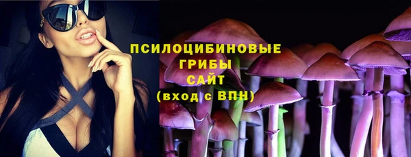 эйфоретик Магас