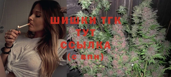 эйфоретик Магас