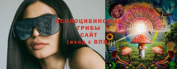 сатива Майский