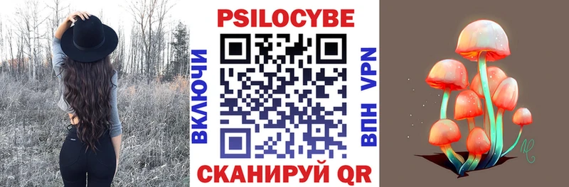 KRAKEN вход  сколько стоит  Новоалтайск  Псилоцибиновые грибы Psilocybine cubensis 
