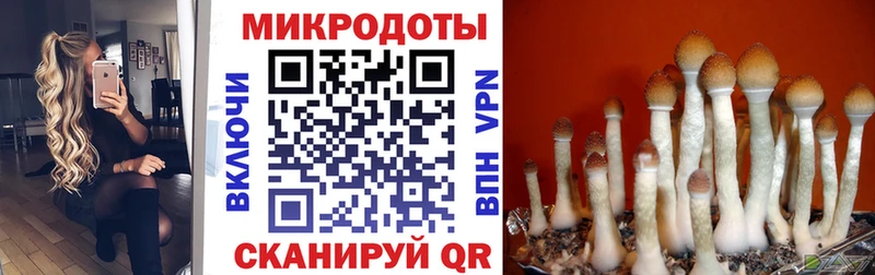 Галлюциногенные грибы прущие грибы Новоалтайск