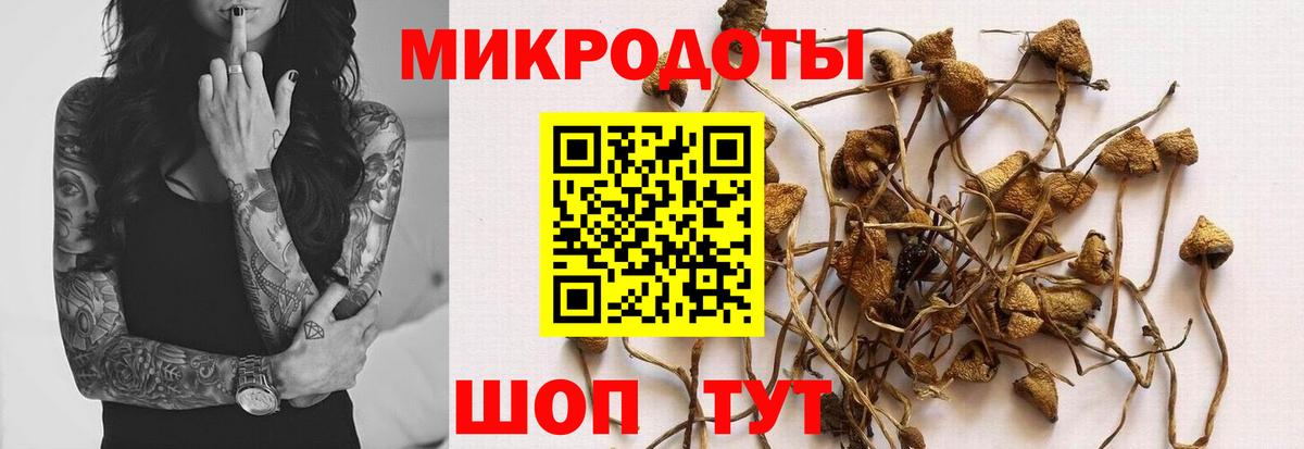 Псилоцибиновые грибы Magic Shrooms Новоалтайск